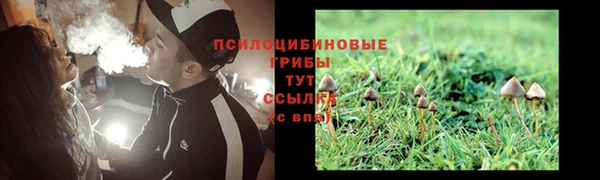 дмт Медвежьегорск
