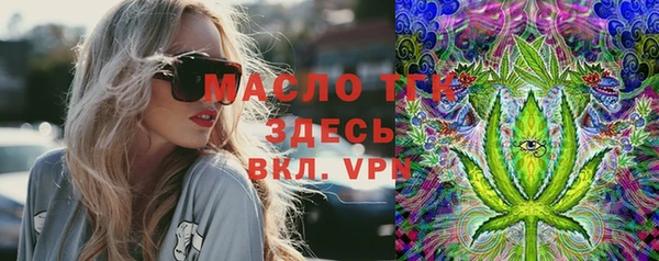 МДПВ Медногорск