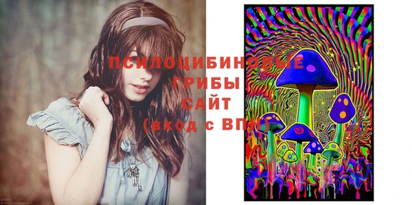 МДПВ Медногорск