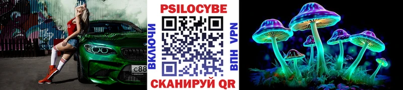Галлюциногенные грибы мицелий Купить где Морозовск